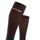 CEP  Podkolienky RECOVERY